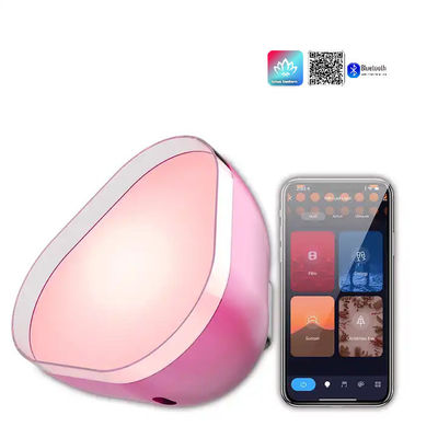 Ein guter Preis. USB-Ladung Atmosphäre LED-Leuchten RGBIC Bluetooth angepasst Online